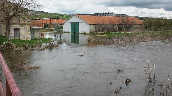 Las aguas del Esgueva alcanzaron de nuevo una nave ganadera.