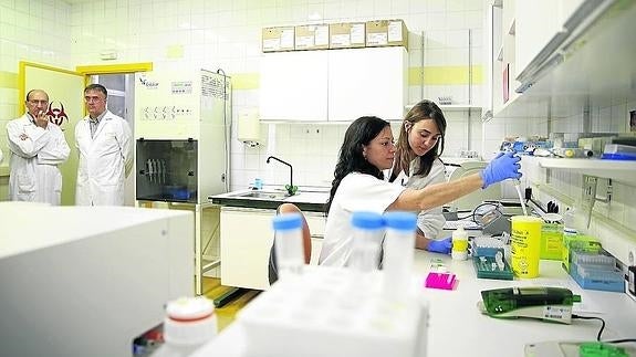 Laboratorio de investigación del hospital Clínico de Valladolid. ::l