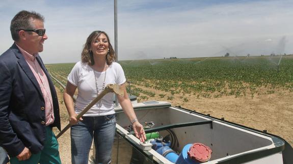 La consejera de Agricultura, Milagros Marcos, junto al presidente de la Comunidad de Regantes del Canal del Pisuerga, Alberto Nebreda, acciona un hidrante de una finca en Piña de Campos.