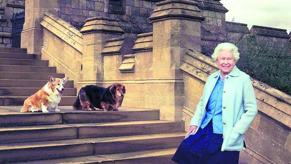 Mascotas de palacio