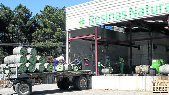 Planta de la empresa Reisnas Naturales en Cuéllar. 
