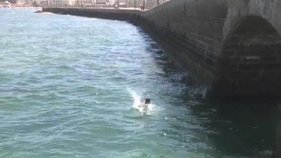 Los bañistas se juegan la vida saltando al agua desde el puente de la Caleta en Cádiz