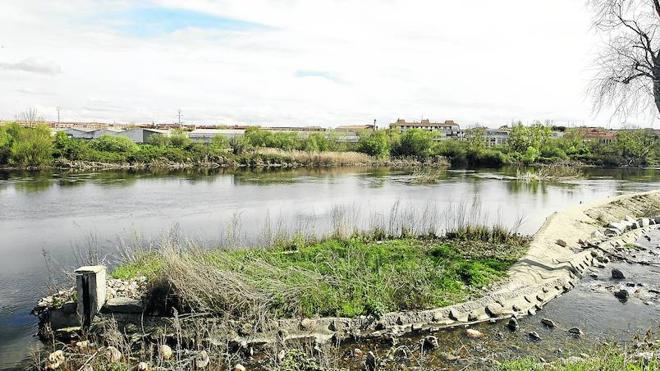 Vista panorámica de una zona de las riberas del río, cuya mej ora está contemplada en el proyecto Tormes+.