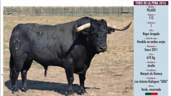 Cartel con la imagen de 'Pelado' 