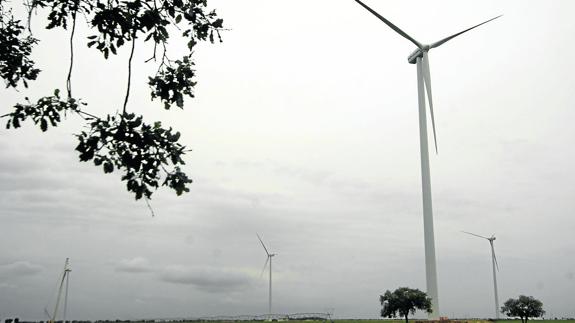 Aerogeneradores instalados en un paraje de la comunidad autónoma. 