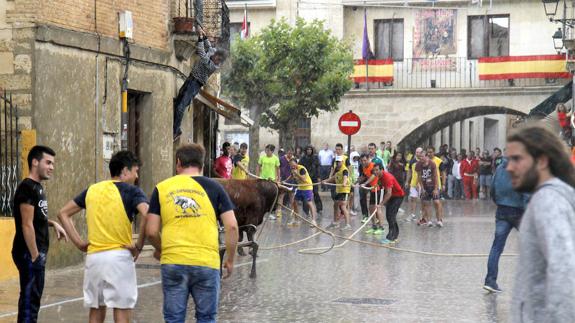 Los vecinos de Astudillo guian al toro enmaromado en dirección a la plaza, bajo la lluvia y el granizo que puso fin al festejo.