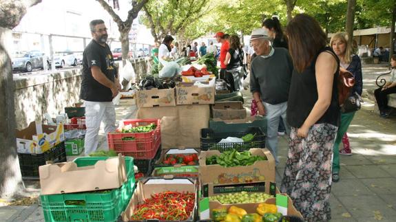 Puestos y compradores en el sexto Mercado Ecológico, en los Paseos de San Francisco de Cuéllar.