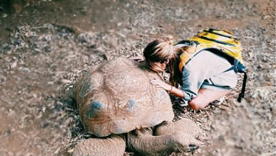 Chabelita con una tortuga de grandes dimensiones. 