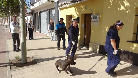 Los laceros trasladan al perro de la casa molinera del número 66 de la Cañada Real.