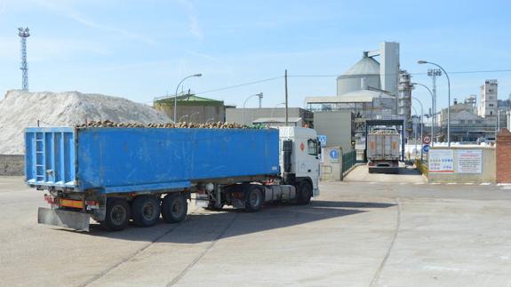 : Camiones cargados de remolacha entran en las instalaciones de la Azucarera de Toro en el primer día de campaña 