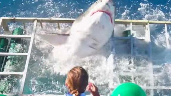 Un tiburón blanco siembra el pánico al escapar de su jaula