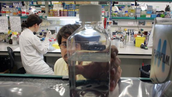Investigadores jóvenes trabajan en el Instituto de Biomédica de Barcelona. 