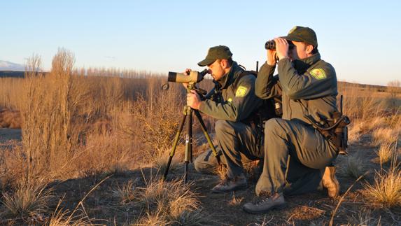 Dos agentes medioambientales, en la provincia. 
