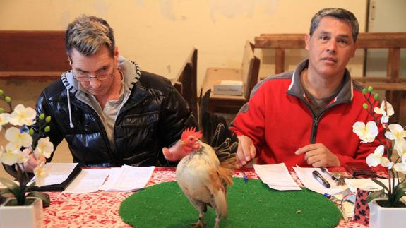 El juez John Benoot (i) y Sergio Amien valoran una de las aves.