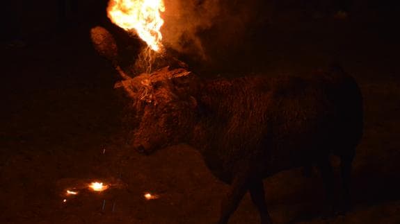 El Toro de Fuego, esta madrugada en Medinaceli