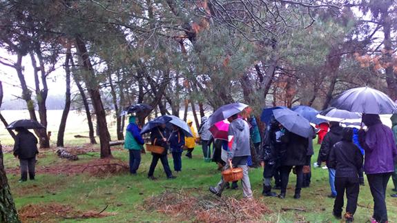 Participantes en la jornada. El Norte