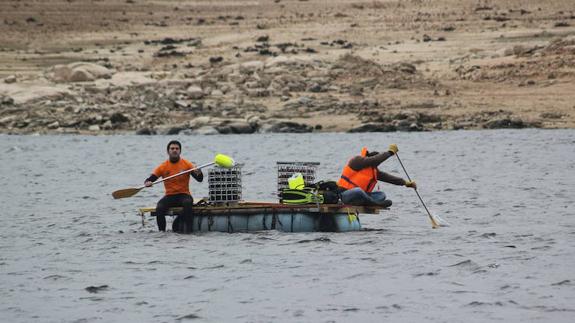 La blasa en la que se transportaron las jaulas con las botellas
