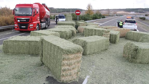 Pacas de alfalfa esparcidas por la A-65 tras perder parate de su carga el camión. 