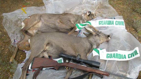 Cinco furtivos detenidos y 73 denuncias en Soria por infracciones de la normativa de caza