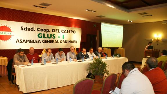 Presentación de los resultados del ejercicio durante la asamblea de la Cooperativa Glus I. 