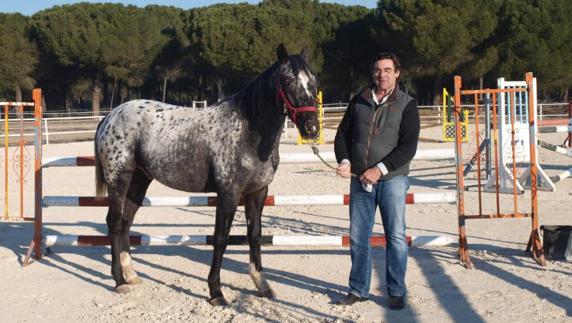 Santiago Jalón posa en la pista de geotextil con ‘María de los Pinos’, de raza appaloosa.