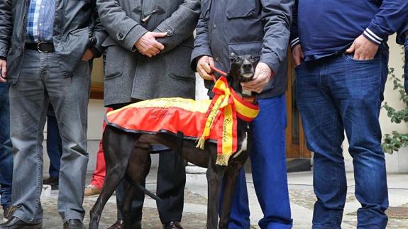 Faruq de la Tata en la Diputación de Valladolid.