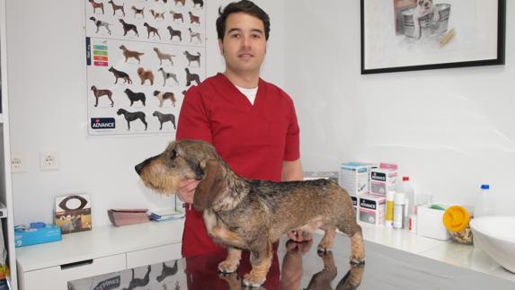 Borja Alonso, en su clínica veterinaria.