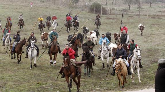 Un momento del primer encierro a caballo de los Carnavales del Toro de Ciudad Rodrigo (Salamanca), que ha durado trece minutos. 