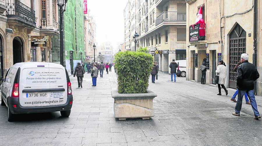 Uno de los maceteros que se situaron durante la última Navidad.