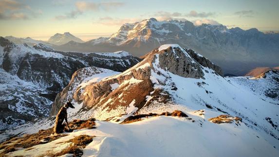 Trea, la perra fallecida, tras perderse en los Picos de Europa.