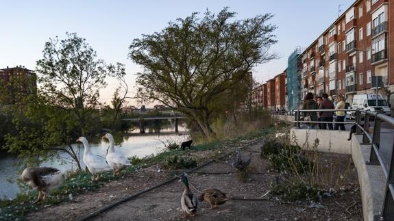 El barrio Cuatro de Marzo, con otra mirada
