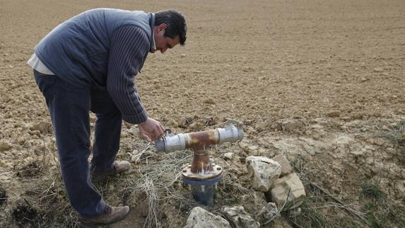 El agricultor Javier Díez, en Fuentes de Nava. 