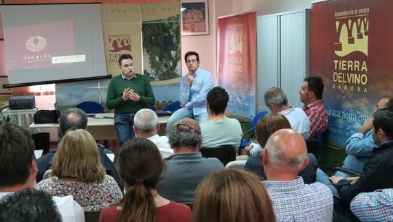 Asistentes a la reunión sobre la posible implantación de una Ruta del Vino en la DO Tierra del Vino de Zamora