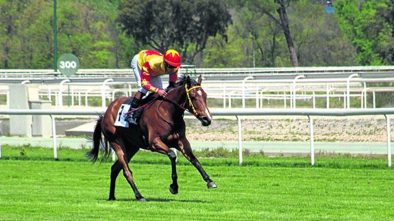 El jockey Víctor Valenzuela monta a Sel Cheesy durante la carrera disputada el pasado domingo en el Hipódromo de Madrid.