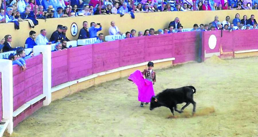 Marco Pérez, durante su actuación con el becerro.