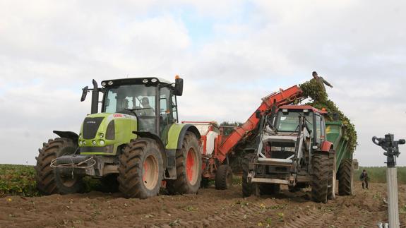 Dos tractores trabajan en un campo de Segovia.El Norte