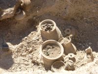 Hallan en Pintia dos enterramientos vacceos fechados hace 2.300 años