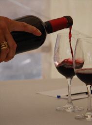 Volvoreta, mejor vino de Ecoracimos 2007