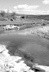 Tramo del río Tera a su paso por Puebla. / A. SAAVEDRA