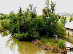 Islote de El Palero que será restaurado. A la derecha, anillamiento de un martín pescador./ EL NORTE