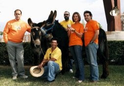Los burros de Zamora protagonizan un documental