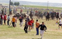 Mozos y jinetes dirigen a los toros hacia el centro del prado. /LUIS CALLEJA
