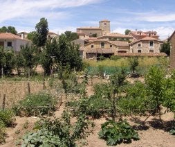 Huertas en Castro de Fuentidueña con el caserío y la iglesia de la Inmaculada al fondo. / ELENA RUBIO