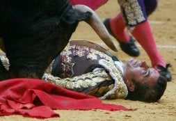 José Pedro Prados, 'El Fundi' yace inconsciente tras ser volteado por su segundo toro. / J. HERRERO-EFE