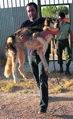 La protectora de Medina acoge a más de 800 animales
