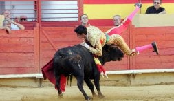 Diego Fernández se reivindica como próximo torero de Palencia