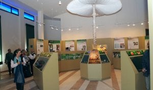 Participantes en un congreso sobre setas visitan el museo de Rabanales. / NATI HERNÁNDEZ