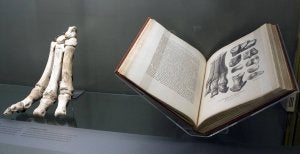 Varias de las piezas expuestas y su correspondencia en la obra del científico./ EL NORTE