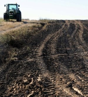 Un tractor circula junto a la superficie quemada. ::
N.H.