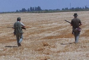 Dos cazadores durante una jornada de caza, en la pasada temporada. ::                             HENAR SASTRE
